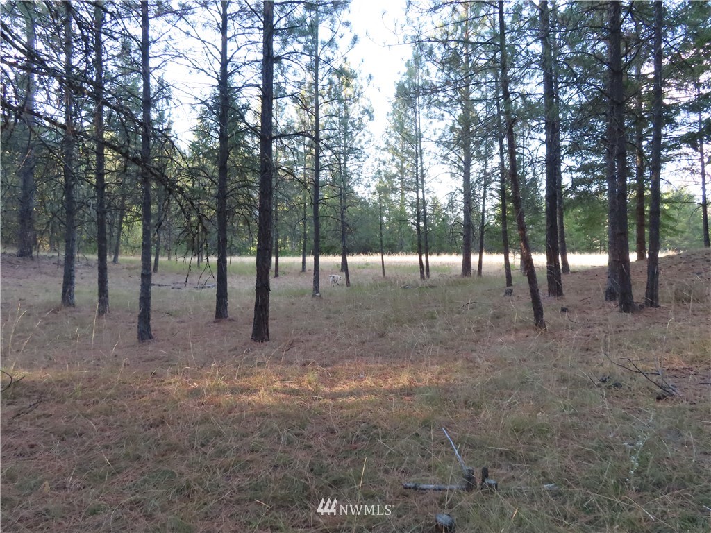 -tbd Toroda Creek Road Curlew, WA 99118 - Photo 19 of 29 Gallery Image 19