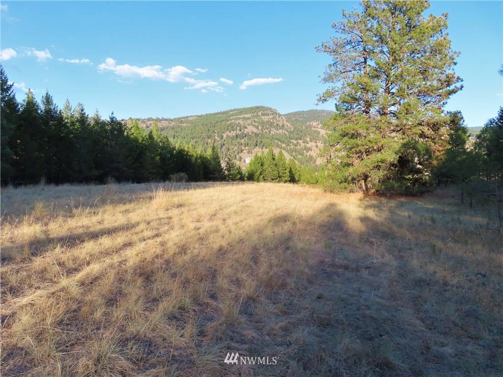 -tbd Toroda Creek Road Curlew, WA 99118 - Photo 20 of 29 Gallery Image 20