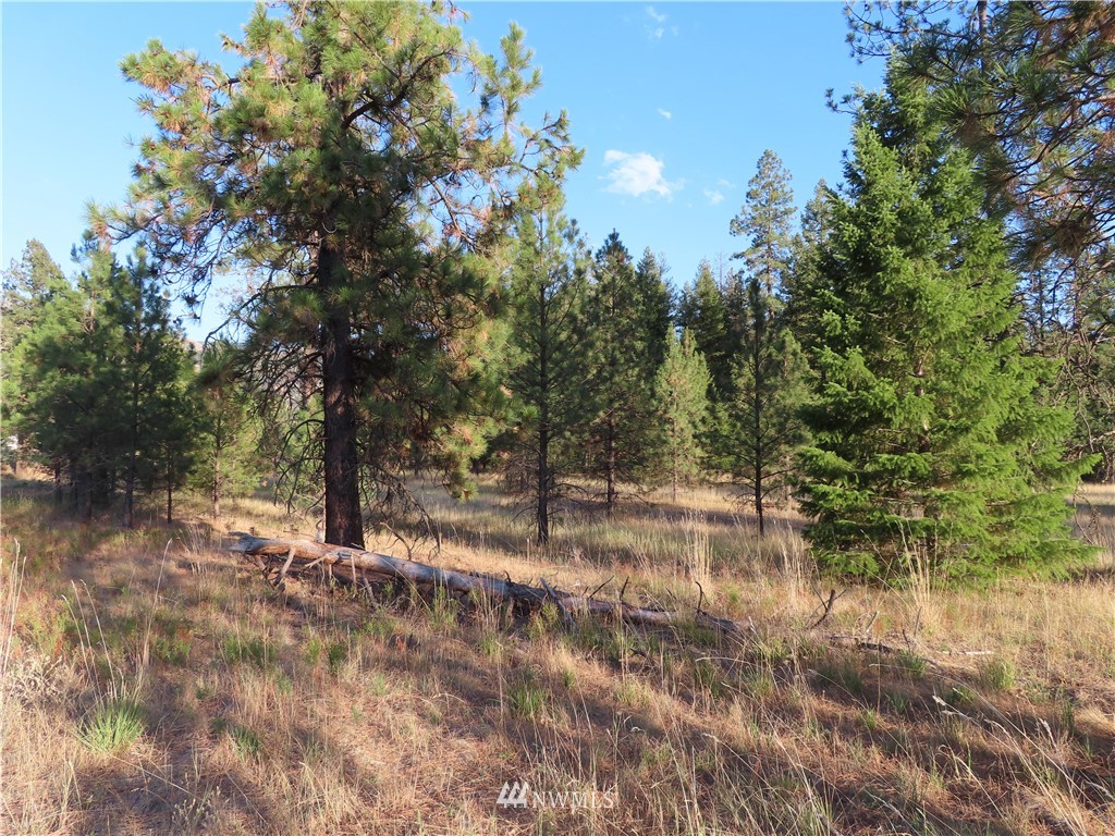 -tbd Toroda Creek Road Curlew, WA 99118 - Photo 3 of 29 Gallery Image 3