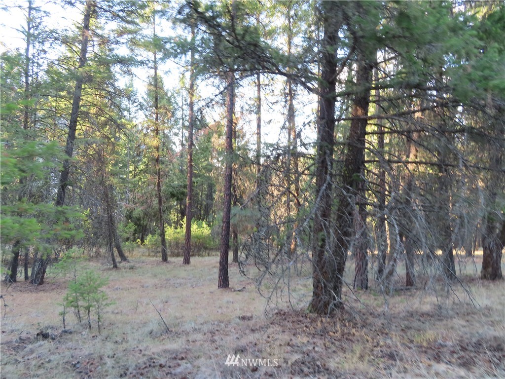 -tbd Toroda Creek Road Curlew, WA 99118 - Photo 24 of 29 Gallery Image 24