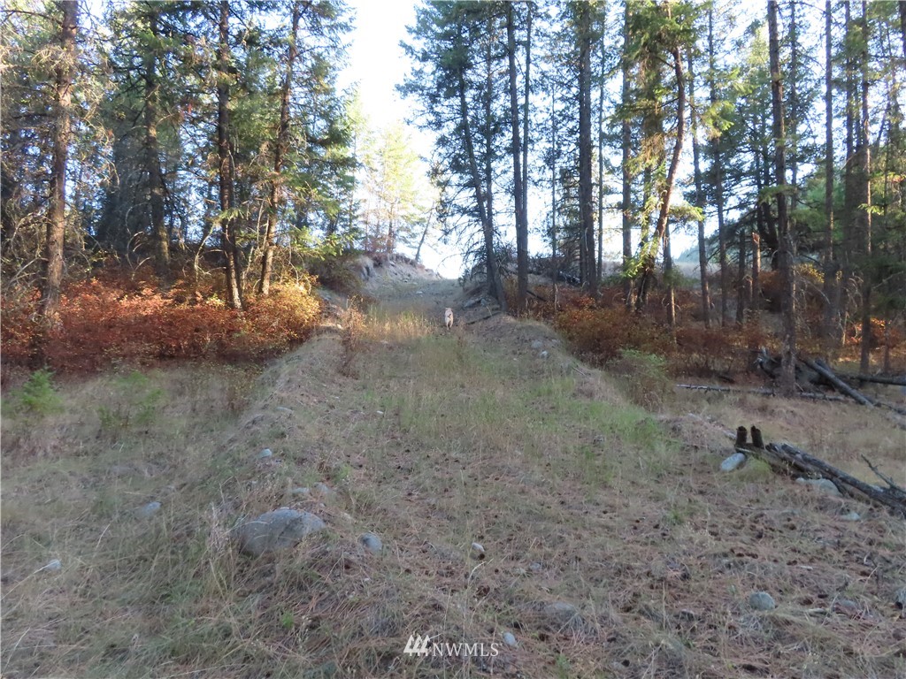-tbd Toroda Creek Road Curlew, WA 99118 - Photo 25 of 29 Gallery Image 25