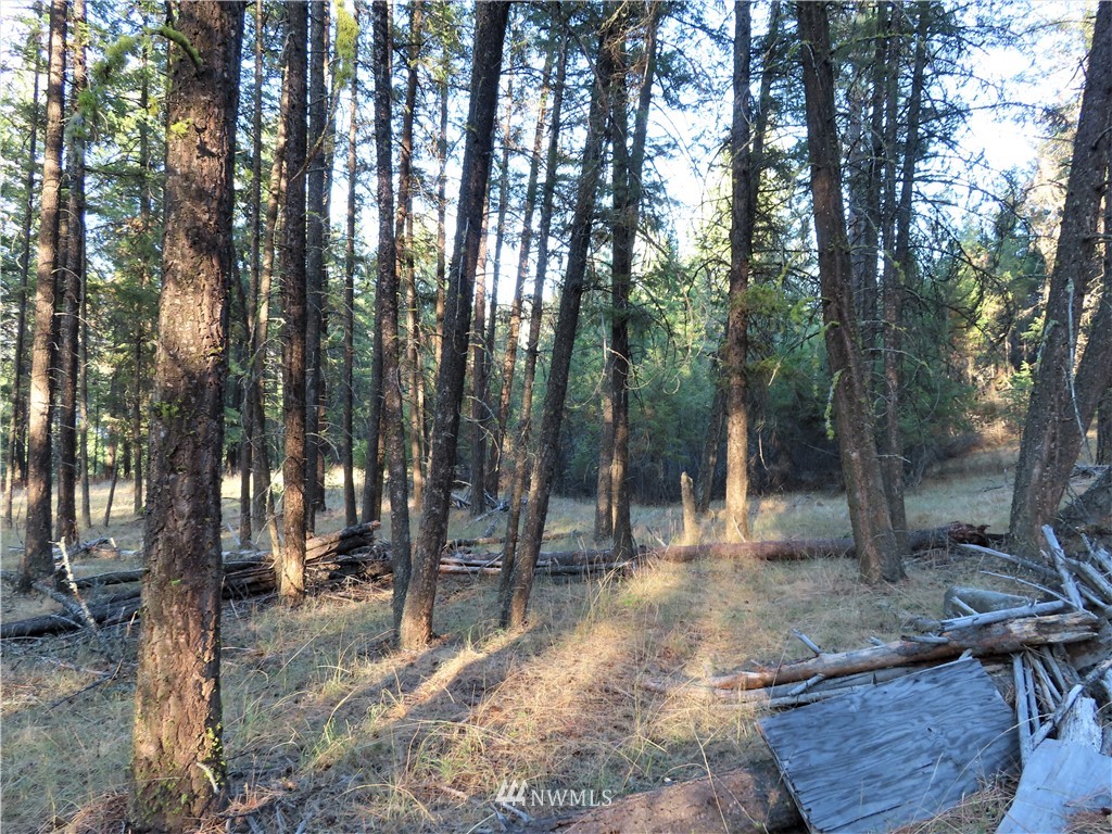 -tbd Toroda Creek Road Curlew, WA 99118 - Photo 26 of 29 Gallery Image 26