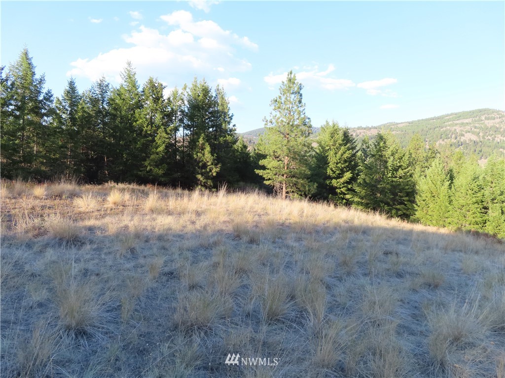 -tbd Toroda Creek Road Curlew, WA 99118 - Photo 27 of 29 Gallery Image 27