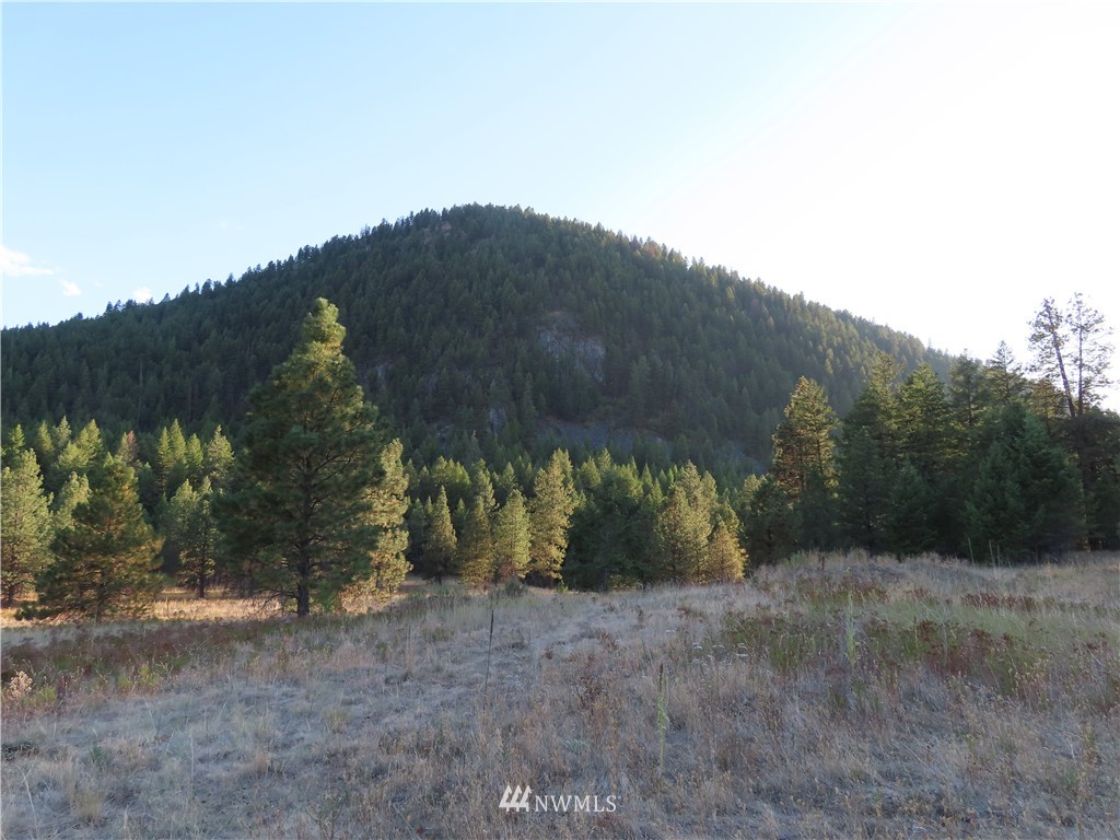 -tbd Toroda Creek Road Curlew, WA 99118 - Photo 29 of 29 Gallery Image 29