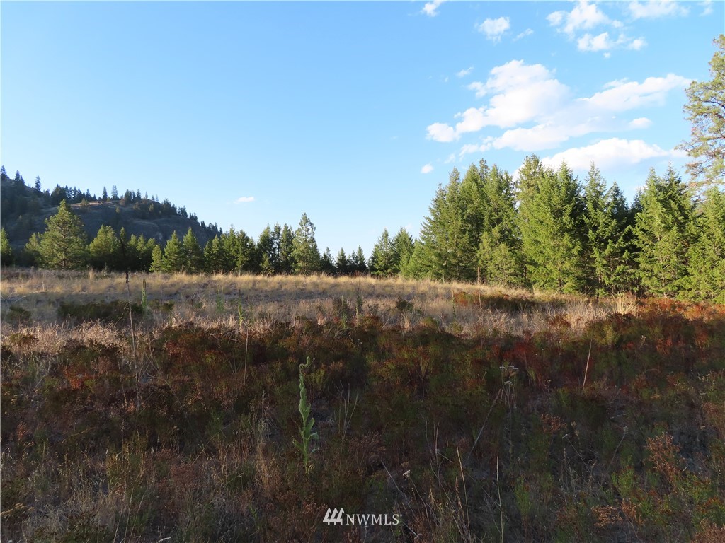 -tbd Toroda Creek Road Curlew, WA 99118 - Photo 5 of 29 Gallery Image 5