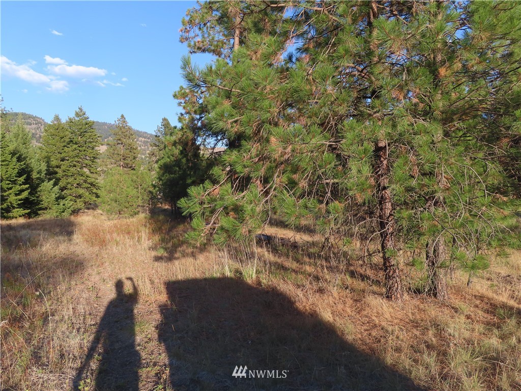 -tbd Toroda Creek Road Curlew, WA 99118 - Photo 6 of 29 Gallery Image 6