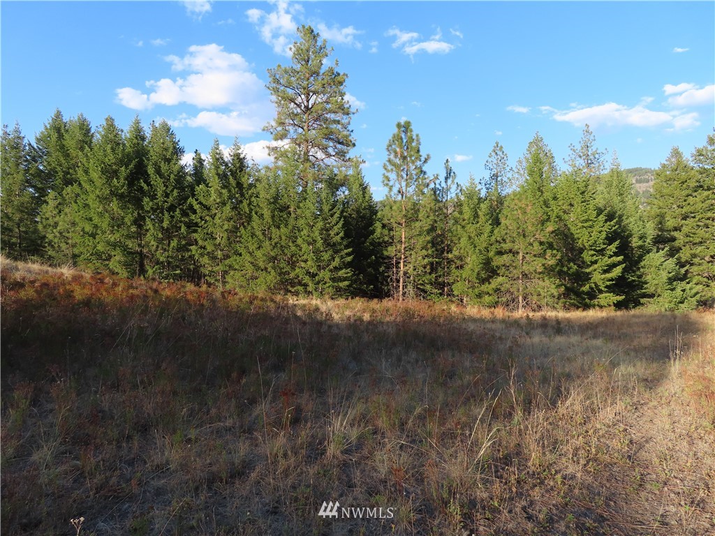 -tbd Toroda Creek Road Curlew, WA 99118 - Photo 7 of 29 Gallery Image 7