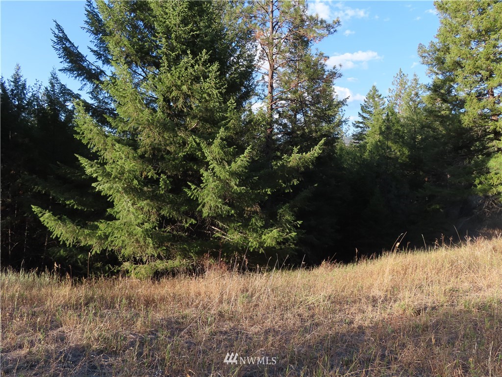 -tbd Toroda Creek Road Curlew, WA 99118 - Photo 10 of 29 Gallery Image 10