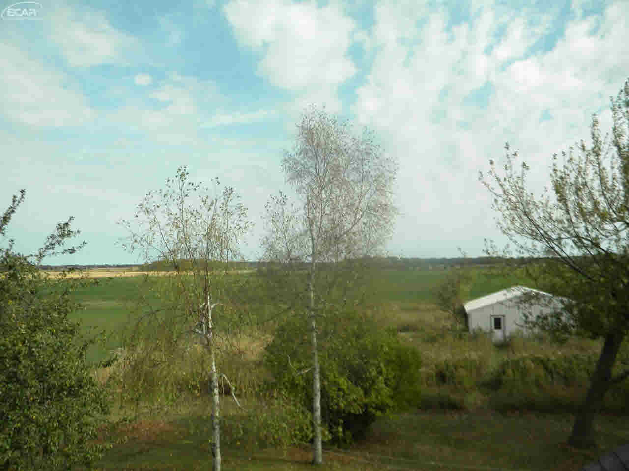 3758 North Baldwin Road Owosso, MI 48867 - Photo 69 of 89 21379476-68.JPG