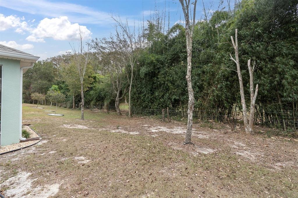 11236 Merganser Way New Port Richey, FL 34654 - Photo 23 of 41 a view of a forest with trees
