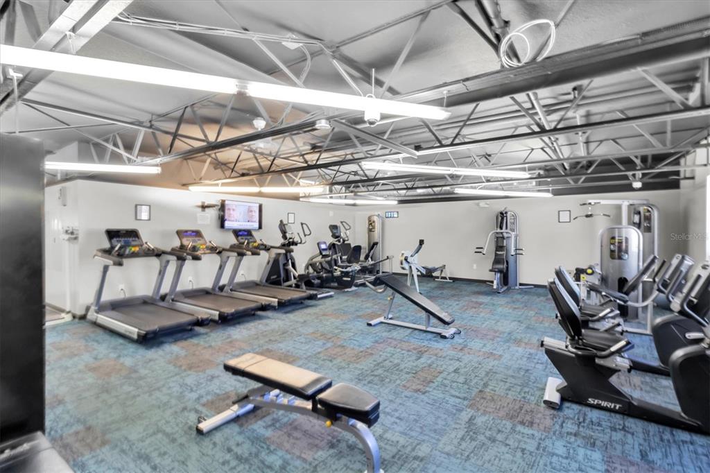 11236 Merganser Way New Port Richey, FL 34654 - Photo 40 of 41 a view of a room with gym equipment