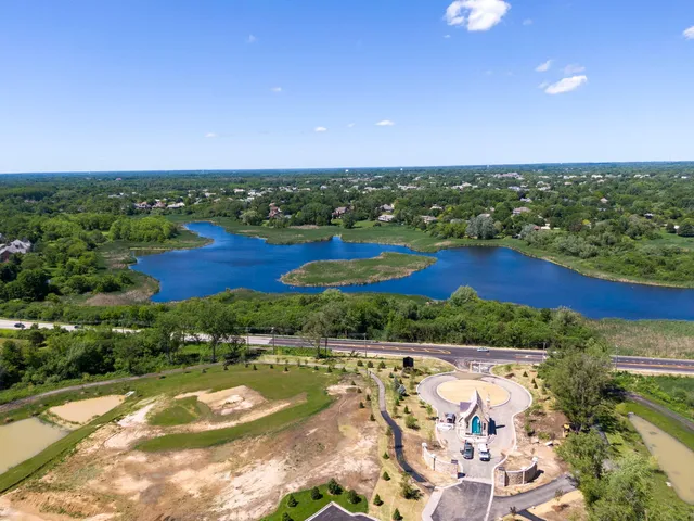 a view of a park with large trees