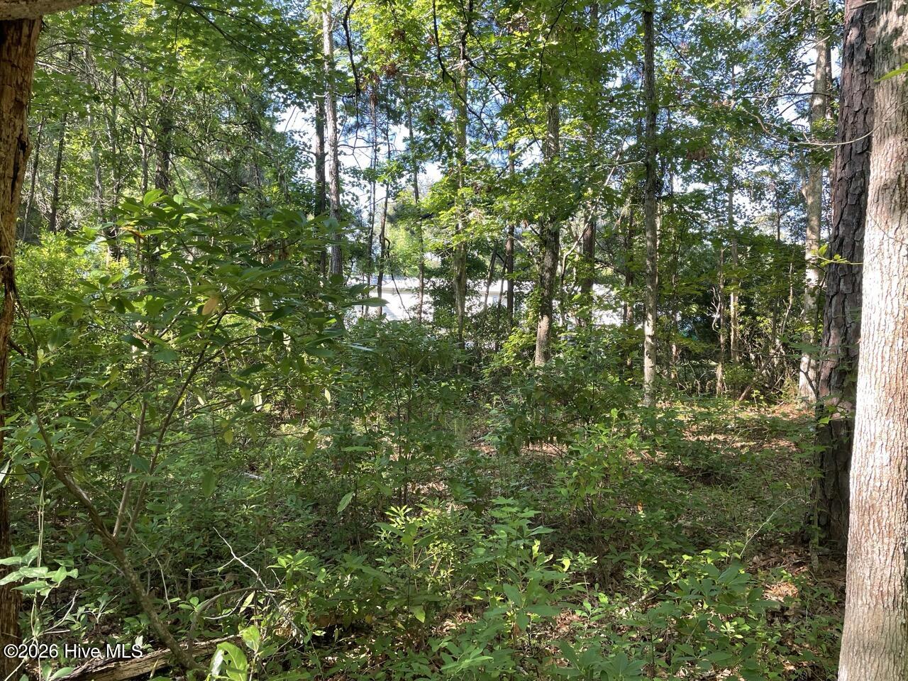 126 Deer Trail Beaufort, NC 28516 - Photo 15 of 27 IMG_4767 Large
