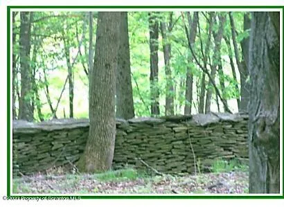 a view of outdoor space and garden