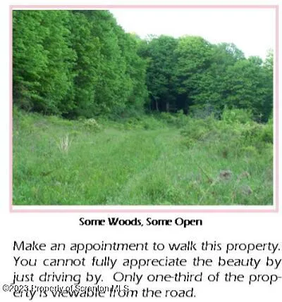 a picture of a bench in a grassy field