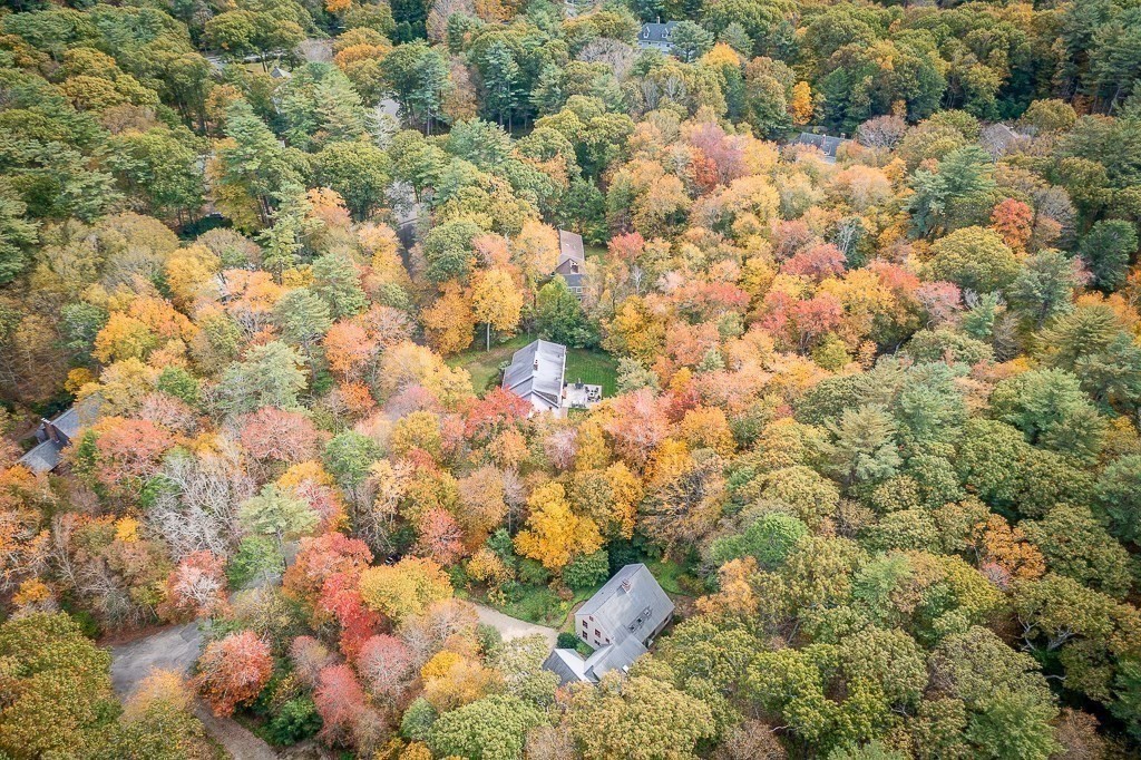 10 Hidden Ledge Road Manchester, MA 01944 - Photo 38 of 40 a view of a bunch of flowers