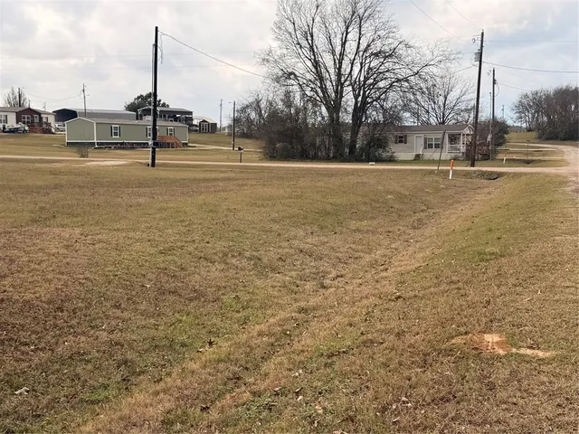 a view of ocean with a palm tree