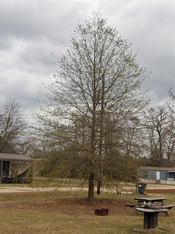 0 Waterfront Row Quitman, TX 75783 - Photo 9 of 21 a view of a lake with houses