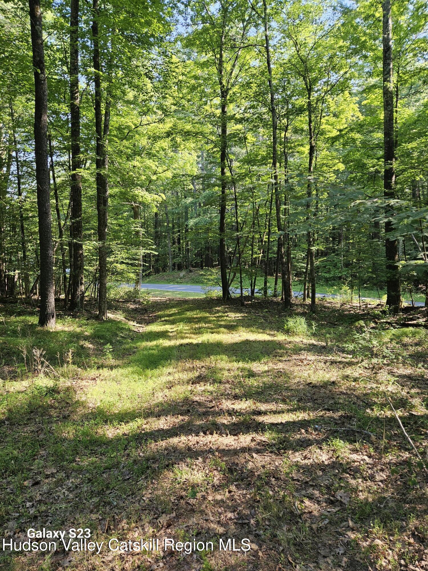 0 Hearts Content Road Catskill, NY 12414 - Photo 11 of 21 20260711_164850