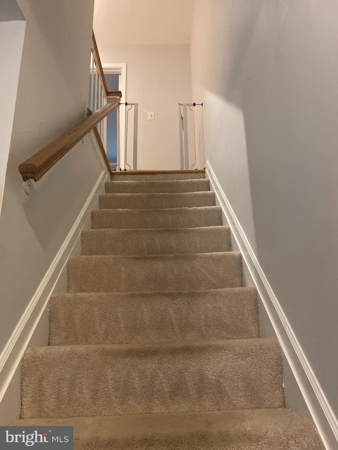 8523 Gambel Oak Drive Springfield, VA 22153 - Photo 15 of 41 a view of entryway