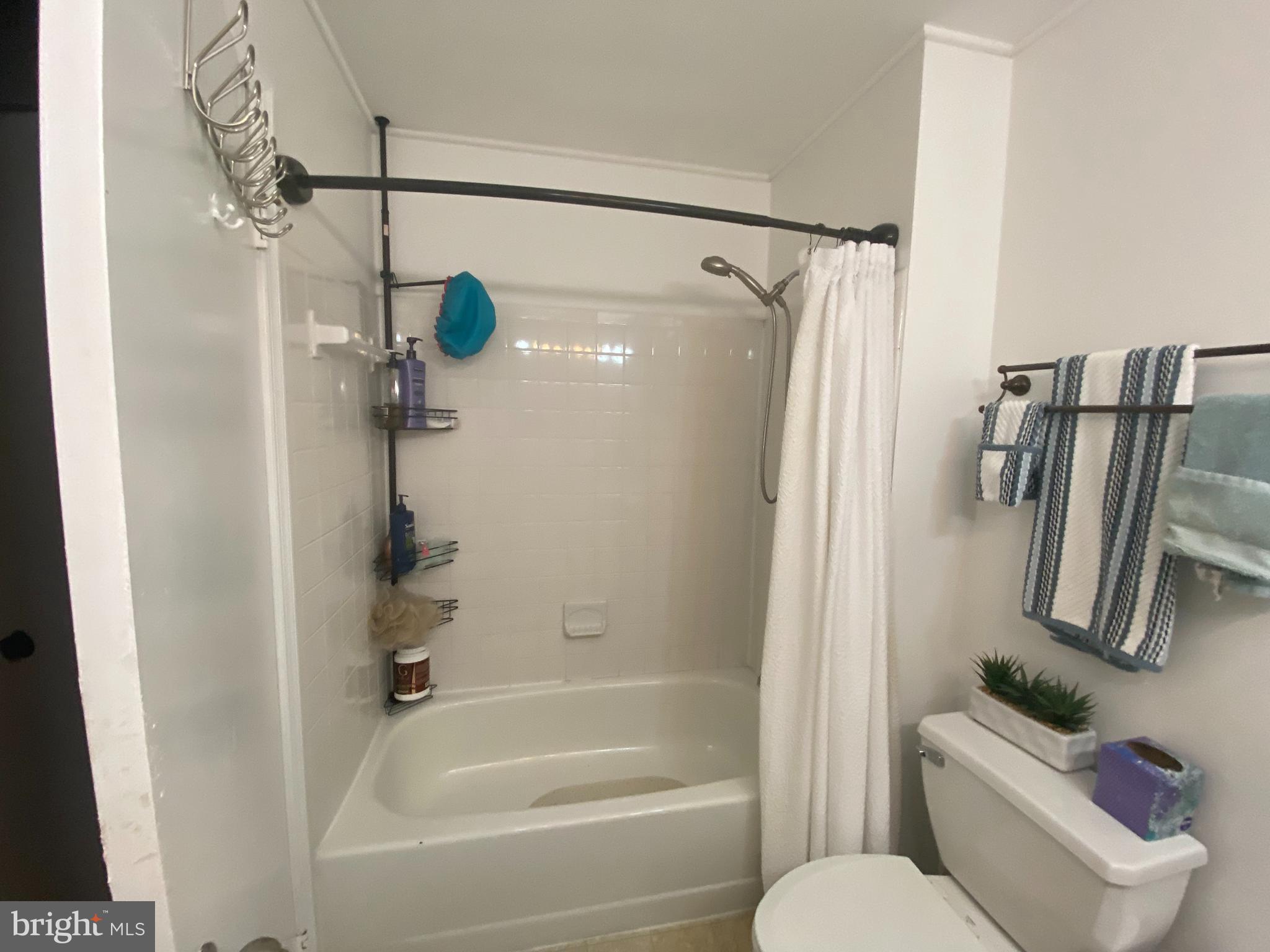 8523 Gambel Oak Drive Springfield, VA 22153 - Photo 18 of 41 a bathroom with a shower a toilet and a sink