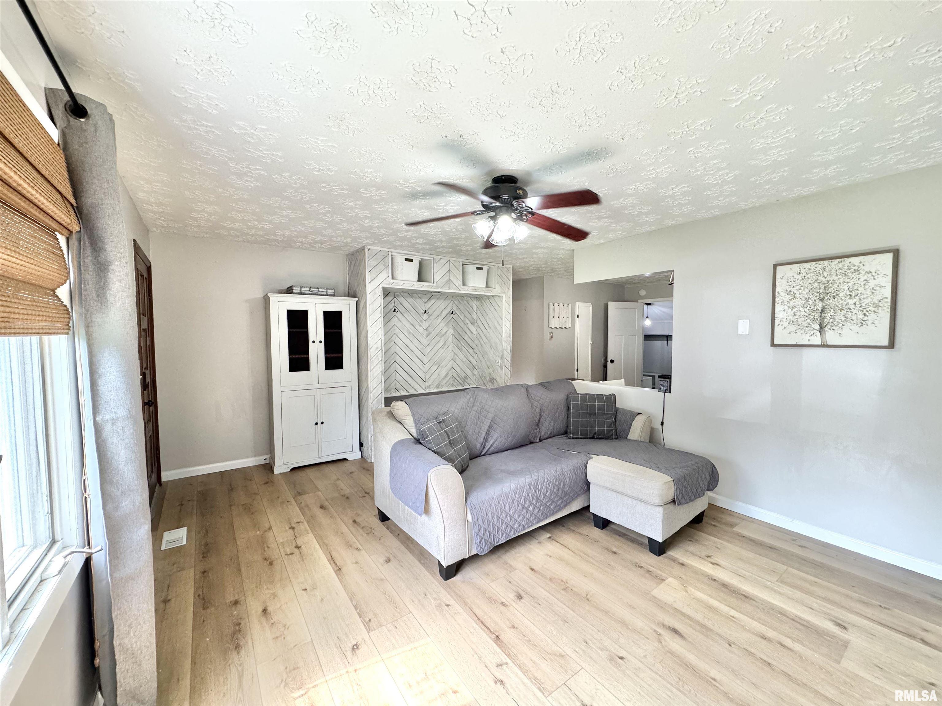 302 South Sims Street Royalton, IL 62983 - Photo 3 of 25