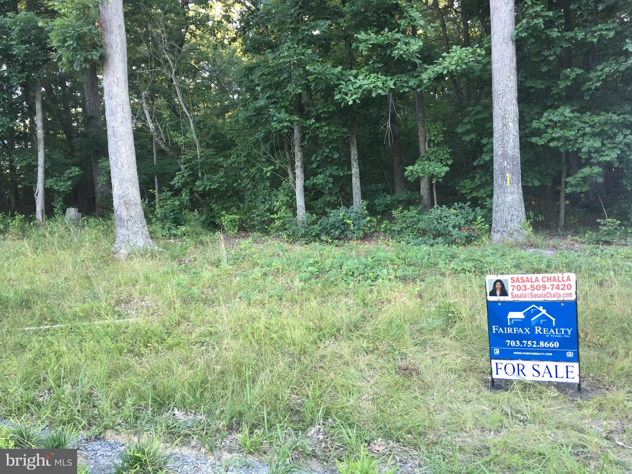 5836 Doyle Road Clifton, VA 20124 - Photo 1 of 1 Gallery Image 1