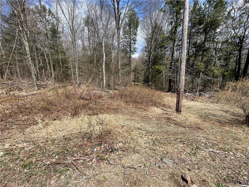 St Moritz Drive Newfoundland, PA 18445 - Photo 5 of 5 a view of a forest with trees