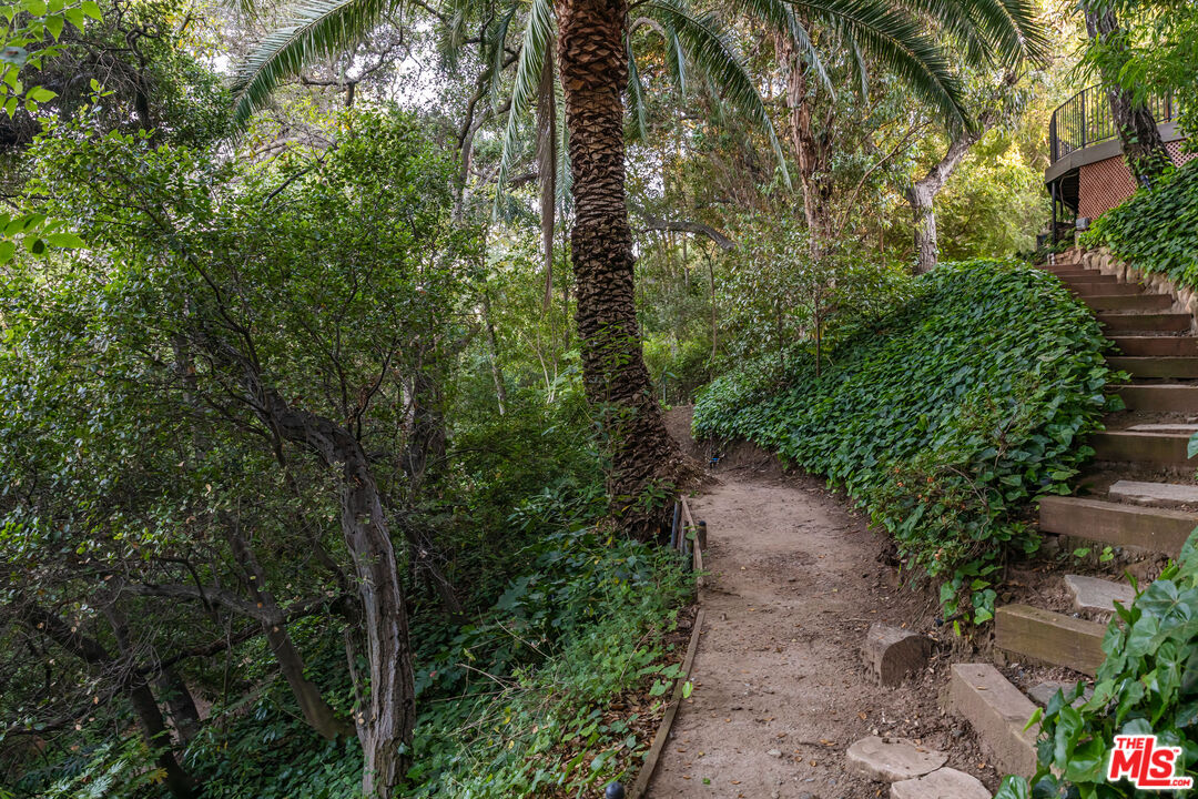 685 Elkins Road Los Angeles, CA 90049 - Photo 21 of 24 a view of a yard with plants and trees
