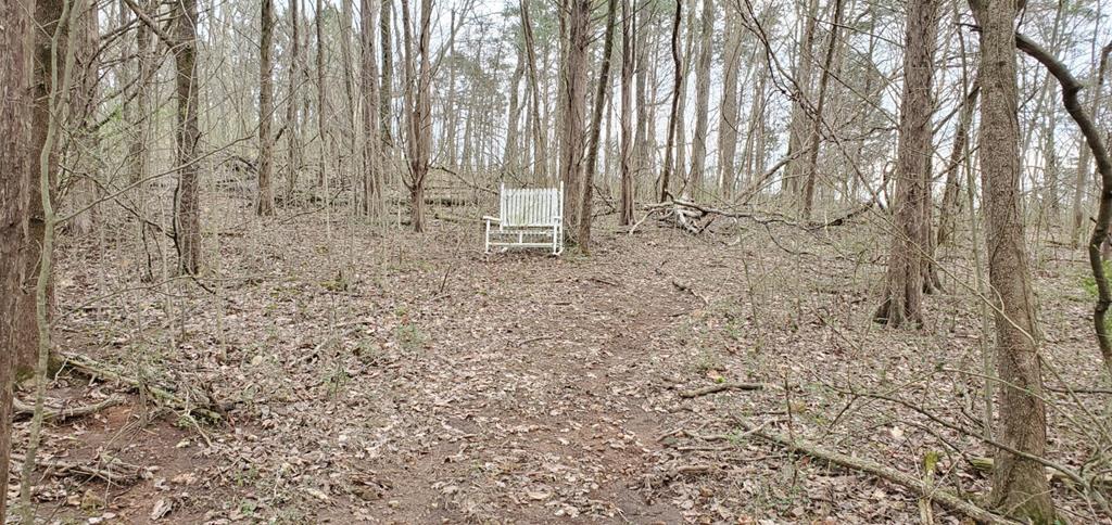 221 Griderville Road Cave City, KY 42127 - Photo 14 of 73 Gallery Image 14
