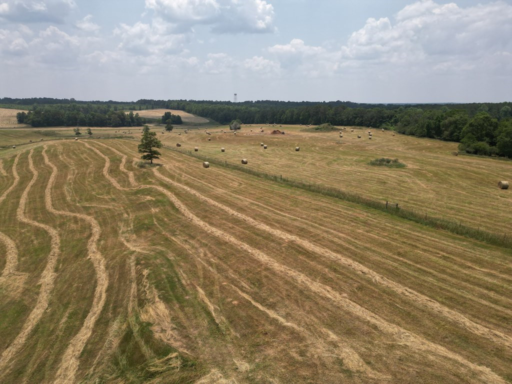 0 Eric Price Road Tylertown, MS 39667 - Photo 8 of 11 Photo 8
