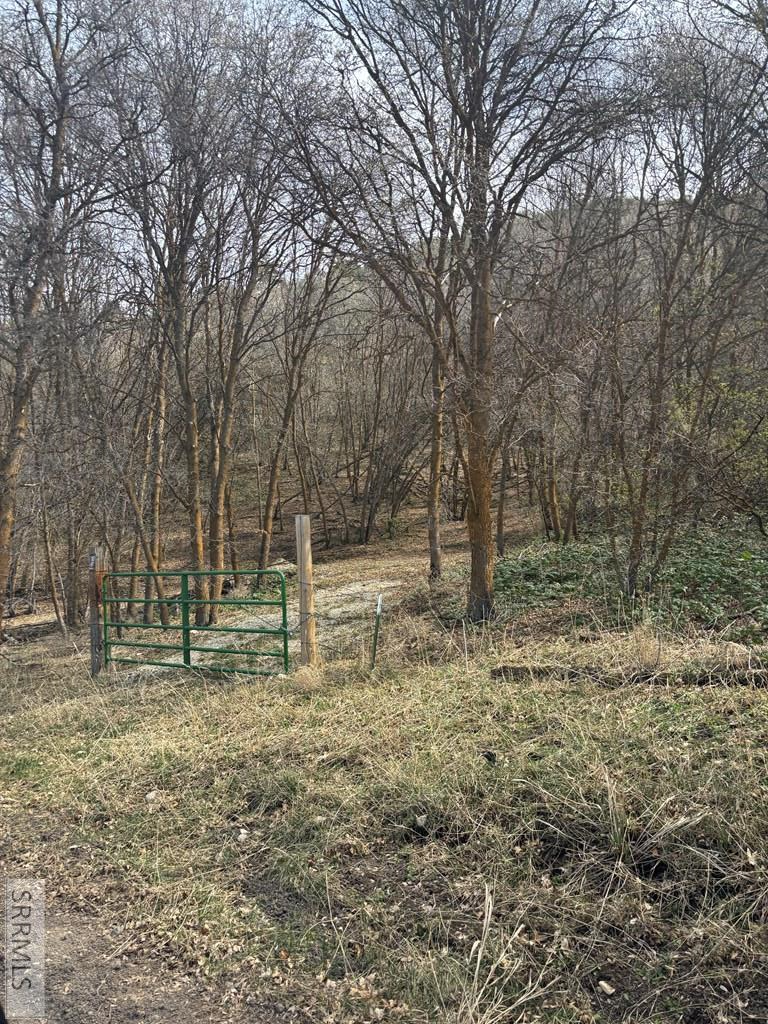 Tbd North Canyon Road Grace, ID 83241 - Photo 2 of 9