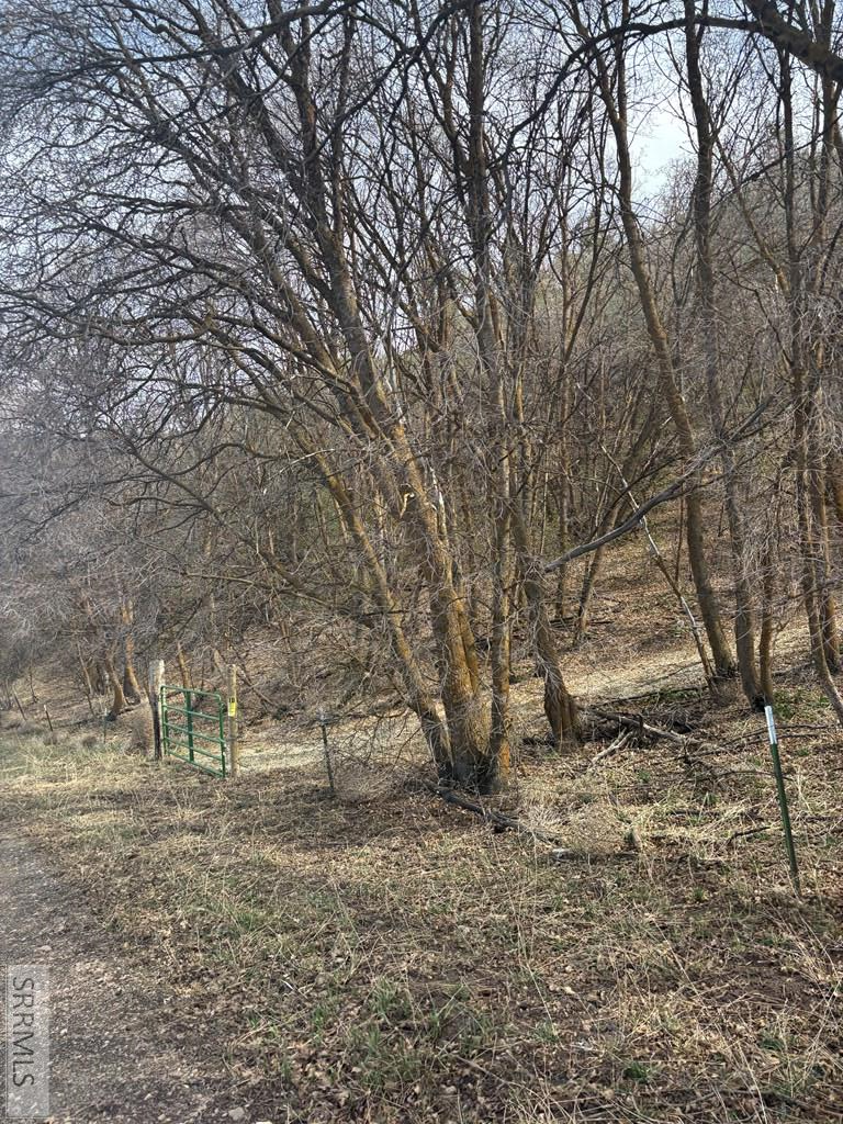 Tbd North Canyon Road Grace, ID 83241 - Photo 3 of 9