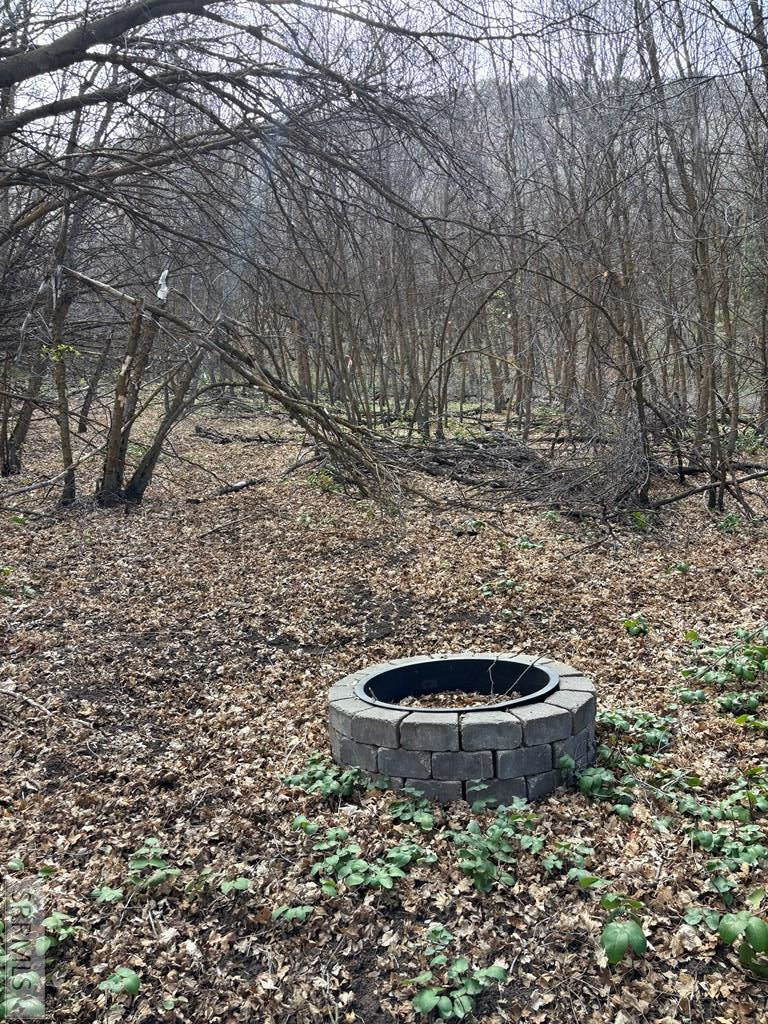 Tbd North Canyon Road Grace, ID 83241 - Photo 4 of 9