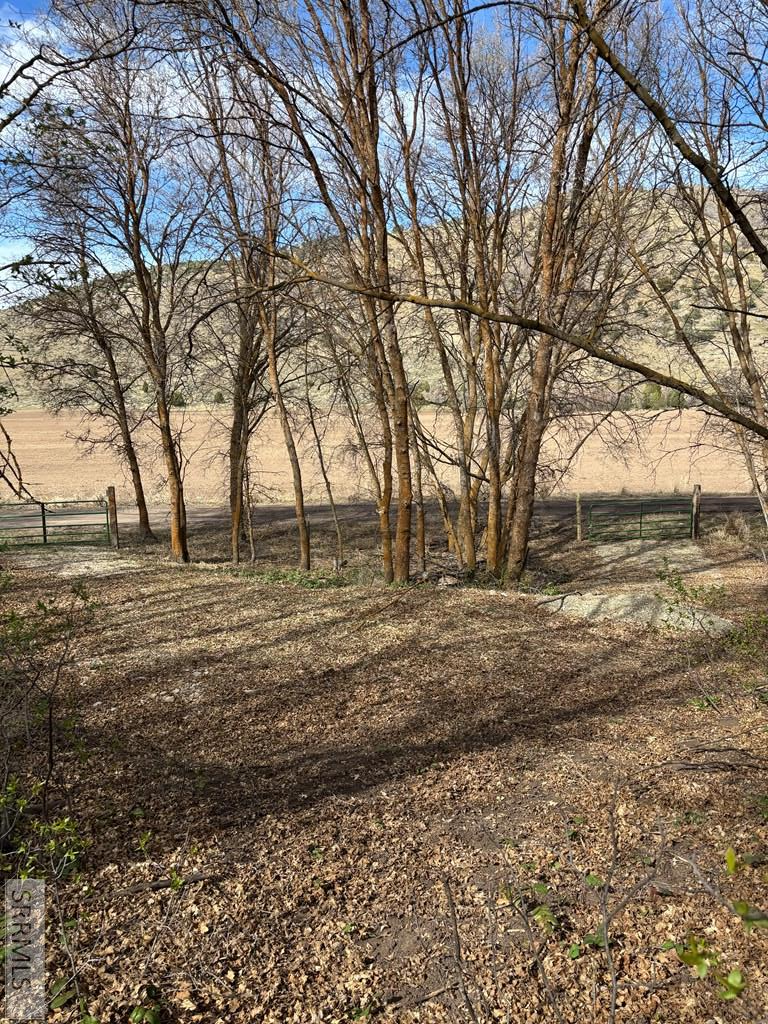 Tbd North Canyon Road Grace, ID 83241 - Photo 6 of 9