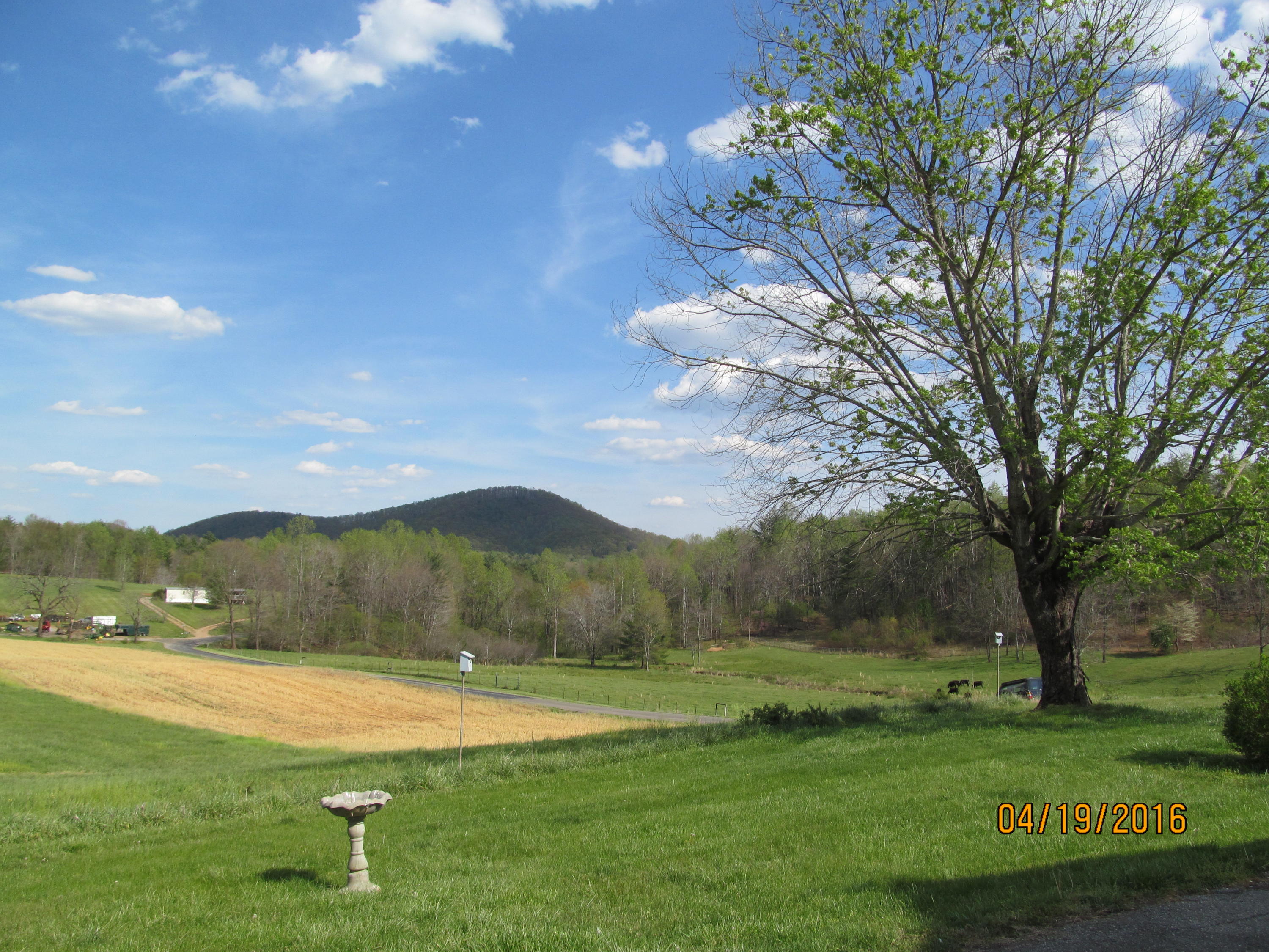 59 Whetstone Road Ferrum, VA 24088 - Photo 9 of 65 IMG_4562