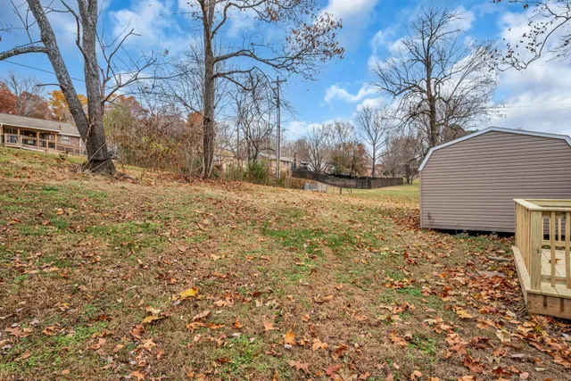a backyard of a house with large trees