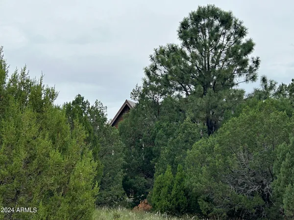 $599,000 | 1467 County Road 3140, Vernon, AZ 85940
