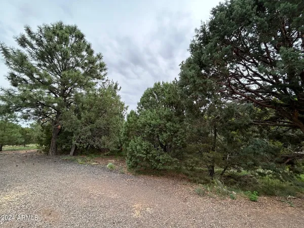 $599,000 | 1467 County Road 3140, Vernon, AZ 85940