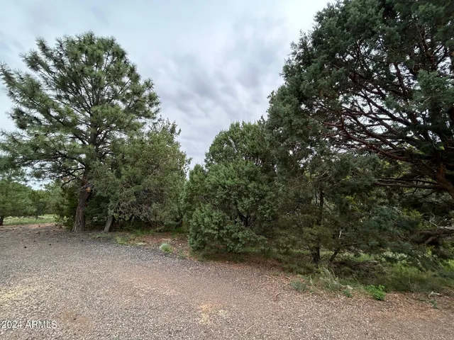 $599,000 | 1467 County Road 3140, Vernon, AZ 85940