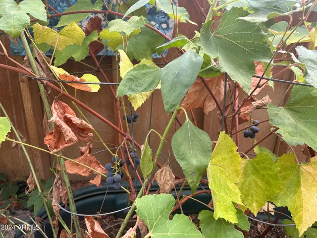 $599,000 | 1467 County Road 3140, Vernon, AZ 85940