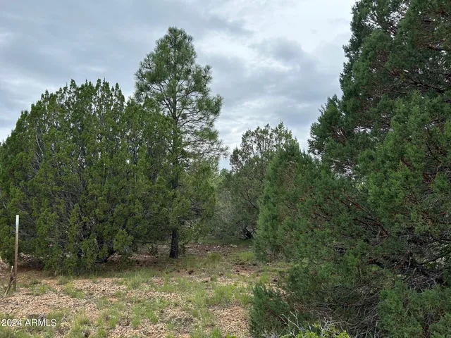 $599,000 | 1467 County Road 3140, Vernon, AZ 85940