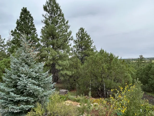 $599,000 | 1467 County Road 3140, Vernon, AZ 85940