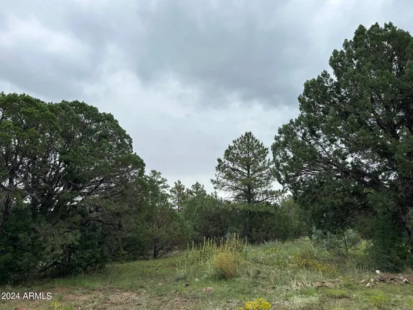 $599,000 | 1467 County Road 3140, Vernon, AZ 85940