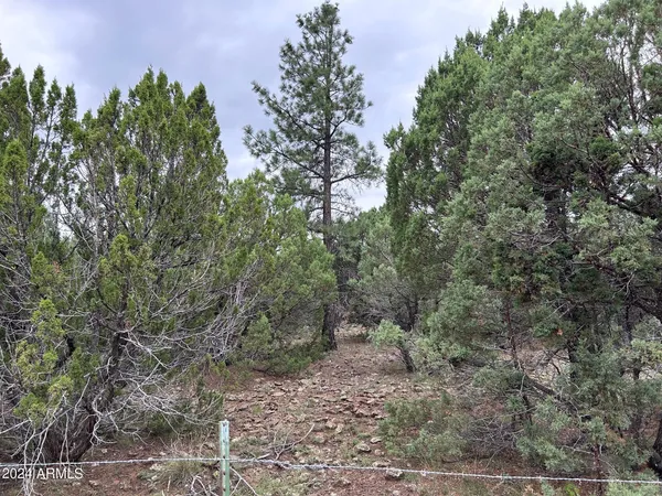 $599,000 | 1467 County Road 3140, Vernon, AZ 85940