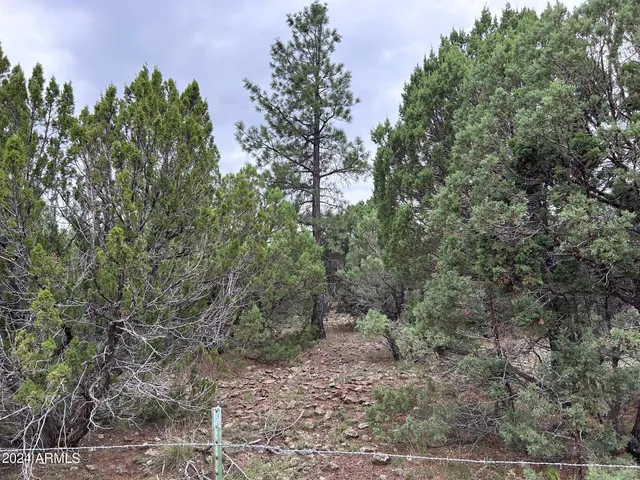 $599,000 | 1467 County Road 3140, Vernon, AZ 85940