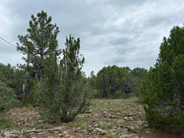 $599,000 | 1467 County Road 3140, Vernon, AZ 85940