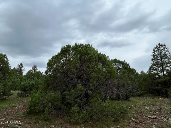 $599,000 | 1467 County Road 3140, Vernon, AZ 85940