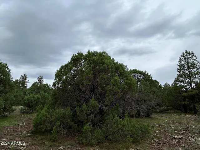 $599,000 | 1467 County Road 3140, Vernon, AZ 85940