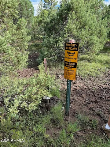 $599,000 | 1467 County Road 3140, Vernon, AZ 85940